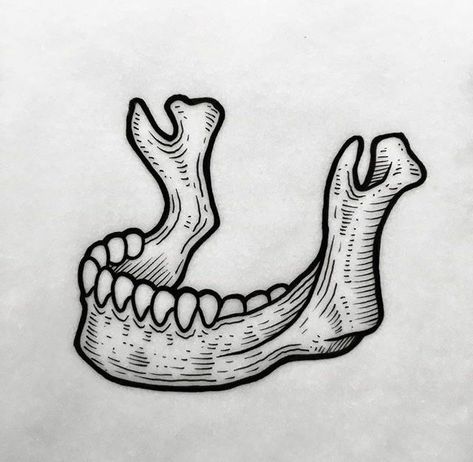 Jaw Bone Illustration, Skull Jaw Drawing, Jaw Bone Drawing, Skull Flash Art, Skull Jaw Tattoo, Black Work Tattoo Flash, Bones Tattoo Ideas, Jaw Bone Tattoo, Spooky Tattoo Flash