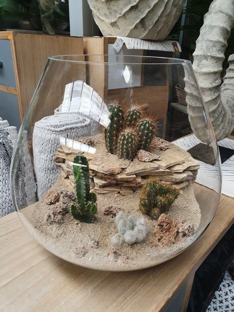 Cactus Terrarium Ideas, Desert Terrarium Ideas, Dessert Terrarium, Desert Terrarium, Mini Cactus Garden, Cactus Arrangement, Cactus Terrarium, Open Terrariums, Succulent Bowls