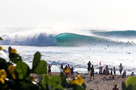 pipeline oahu - north shore surfing Surf Vibes, North Shore Oahu, Surfer Style, Summer Surf, Surf Lifestyle, Surf Life, Surfing Waves, Surf Art, Surfs Up