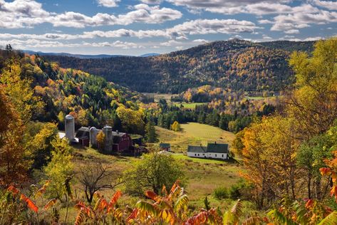 A view of Hillside Acres farm and surrounding countryside in the town of Barnet #  Reimar / Shutterstock  Vermont: Images of the Green Mountain State - The Atlantic Green Mountain Vermont, Green Mountains Vermont, Vermont Summer, Vermont Mountains, New England Usa, Animals And People, Lake Champlain, In The Town, Summer Landscape