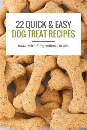 Looking for Some Easy Homemade Dog Treats? Here's 22 Simple Dog Treat Recipes With 5 Ingredients or Less. Homemade Pet Treats, 5 Ingredients Or Less, Dog Treats Homemade Easy, Easy Dog Treat Recipes, Dog Biscuit Recipes, Easy Dog Treats, Healthy Dog Treats Homemade, Dog Treats Homemade Recipes, Food Dog