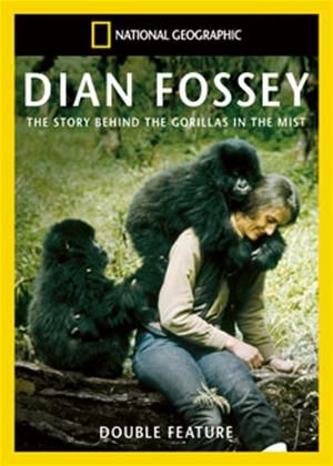 national geographic gorilla images | rent national geographic dian fossey mountain gorillas lost film of ... Gorillas In The Mist, Dian Fossey, Gorilla Gorilla, Ape Monkey, Steve Irwin, Jane Goodall, Mountain Gorilla, Great Ape, Living Things