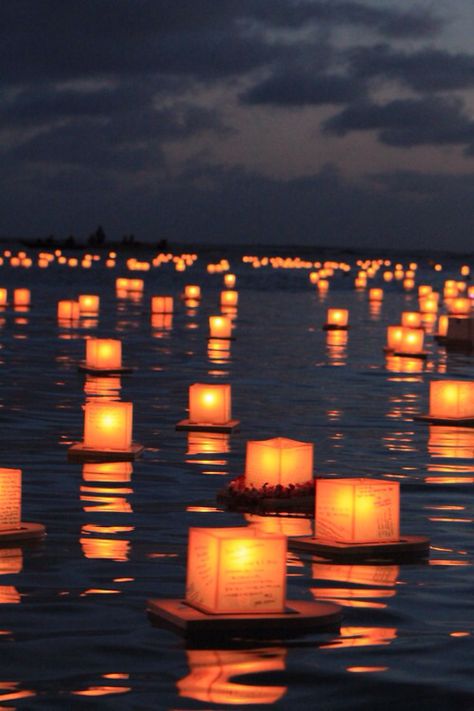 Paper Lanterns on water Beautiful Lanterns, Floating Lanterns, Sky Lanterns, Lakeside Wedding, Relaxed Wedding, Lake Wedding, Floating Candles, Underworld, Future Wedding