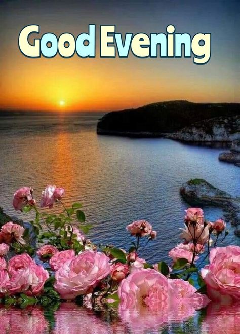 Good Evening, Beach Sunset, Good Morning Quotes, Pretty Wallpapers, Good Night, Good Morning, Roses, Quick Saves