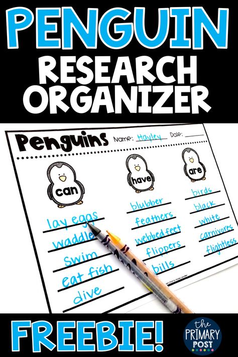 Penguin Research FREEBIE! A great writing activity for kindergarten and first grade kids to do during a winter or penguin unit! Penguins Kindergarten, Penguin Research, Penguin Unit, All About Penguins, Collaboration Station, Penguin Activities, Teacher Projects, 1st Grade Activities, Winter Writing