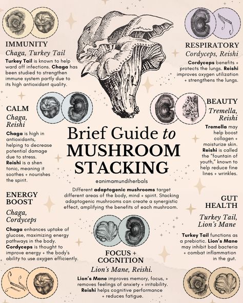 Mycology Study, Mushroom Healing, Mushrooms For Healing, Mushroom Uses, Mushroom Spells, Witchy Mushroom, Mushroom Meaning, Best Mushrooms For Health, Mushrooms In Witchcraft