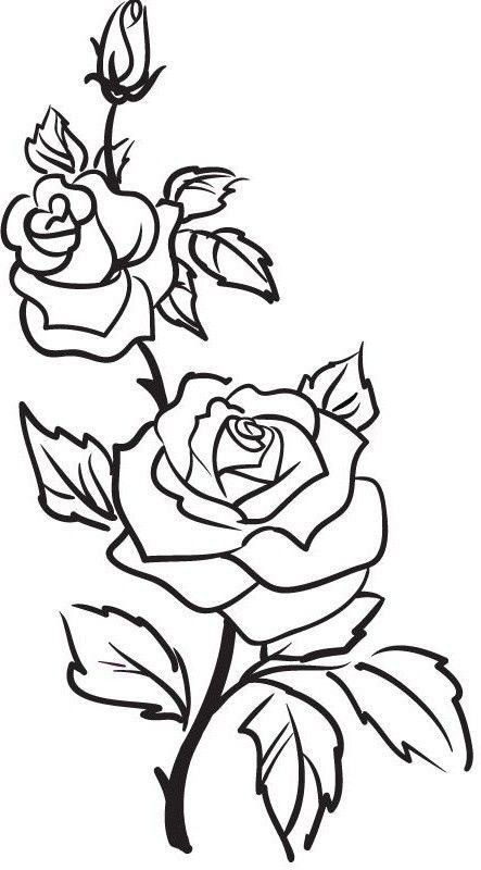 Rose Outline Tattoo, Rose Tattoo Stencil, Rose Outline, Pattern Design Drawing, Tattoo Outline Drawing, Flower Drawing Design, Flower Outline, Tattoo Stencil Outline, Rose Drawing