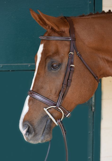 Made from the finest imported English leather from J.E. Sedgwick & Co. Ltd. in England, this Huntley Fancy Stitched Raised English Bridle is elegant enough for the show ring yet durable enough for everyday use. Huntley leather is tanned and finished by Sedgwick in England then shipped to our designated Sedgwick workshop where only our most skilled craftsmen may work. Each bridle is meticulously stitched and decorative stitching is added to the nose band, brow band, and head pieces. Sport Aesthetic, English Tack, Side Saddle, English Bridle, Horse Things, Horse Heart, Horse Bridle, Horse Equipment, Race Horses