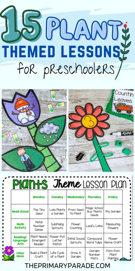 Plant And Garden Preschool Theme, Plant Activity For Preschool, Preschool Plants Theme, Plant Theme For Preschool, Plant Unit Preschool, Preschool Plant Theme, Plants Preschool Theme, Plants Theme Preschool, Plants And Gardening Preschool Theme