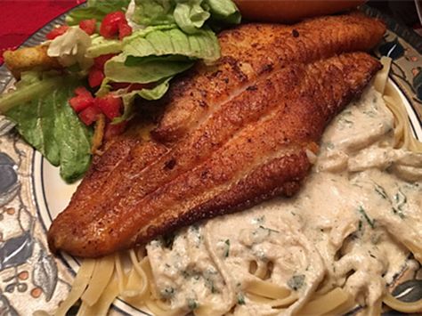 Catfish Fettuccine Alfredo Recipe - Dandy Don’s LSU Sporting News Fetuccini Alfredo Recipe, Fetuccini Alfredo, Fettuccine Alfredo Recipe, Skillet Pork Chops, Rice And Gravy, Lsu Baseball, Crawfish Etouffee, Pork Chops And Potatoes, Fettuccine Noodles