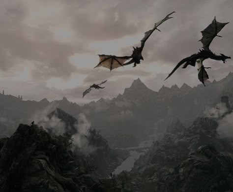 Wings Wallpaper, Empire Of Storms, Targaryen Aesthetic, Fourth Wing, Dragon Rider, Wallpapers Images, Wings Of Fire, Fantasy Dragon, Fantasy Aesthetic