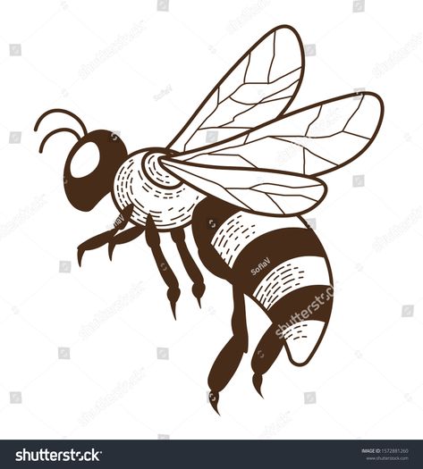 Bee, stinging insect, striped bug with wings, isolated sketch vector. Honey producing animal, beekeeping farm or apiary animal pencil drawing. Hand drawn dangerous flying striped wasp with sting #Ad , #ad, #sketch#isolated#vector#producing Flying Bugs Drawing, Bee Wings Drawing, Wasp Drawing, Bee Fairy, Insect Drawing, Bugs Drawing, Insect Illustration, Fly Drawing, Peace Pole