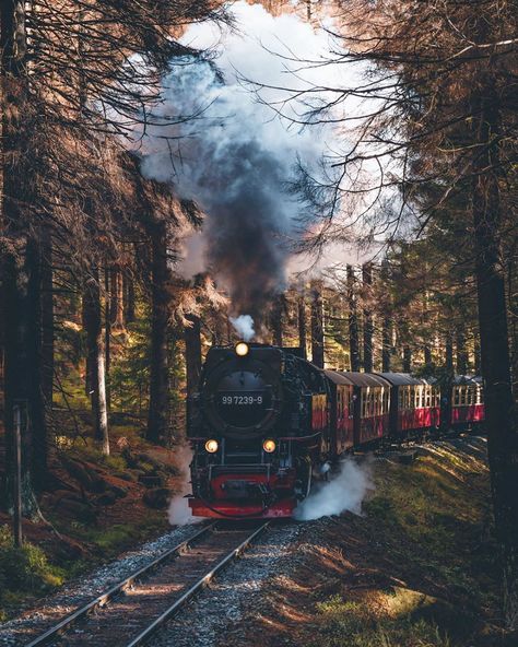 Train Astethic, Love Astethic, Aesthetic Childhood, Autumn Tumblr, Seasons Aesthetic, Childhood Stories, Beach Camping, Autumn Cozy, Good Morning Beautiful