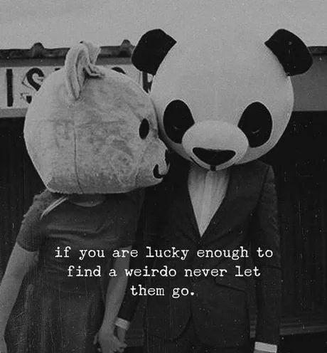 Aww, Love - 9GAG Panda Quotes, The Hardest Part, Quotes Love, Quotes