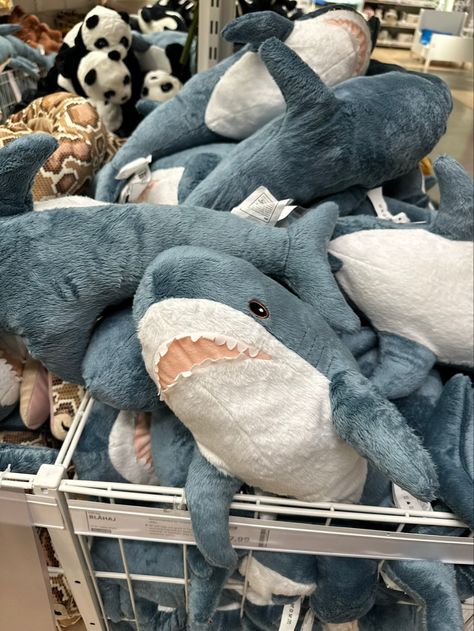 Shark Plushie Aesthetic, Blahaj Pfp, Shark Plushies, Ocean Room Ideas, Ikea Shark, Shark Room, Shark Pictures, Big Shark, Shark Plush