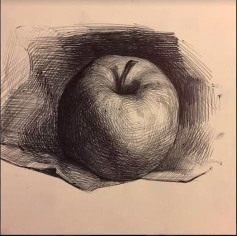 Academic Drawing, Fruits Drawing, Art Basics, Basic Drawing, Still Life Drawing, Arte Sketchbook, Pencil Art Drawings, Still Life Art, Chiaroscuro