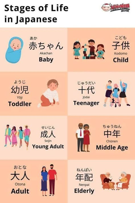 Beginners Japanese | Stages of life in Japanese | Facebook Japanese Library, Japanese Beginner, Learn Japanese Beginner, Japanese Sentences, Learn Basic Japanese, Learn Japan, Japanese Calendar, Basic Japanese, Bahasa Jepun