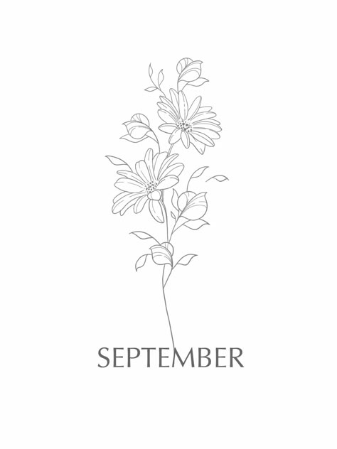 September aster birth month flower tattoo wall art print   #art #aesthetic #aster #birthday #birthmonthflower #birthmonthflowertattoo #lineart #linetattoo #fineline #finelinetattoo #wallartdecor #wallartprints #sketch #tattoo #minimalist #custom #boho #hippie #september #tattooidea #tattoosketch #flowerdrawing #coloring #birthdayflower #pencil #stenciltattoo #stencil #flowertattoo #clipart #flower #floral #tattoodrawing Aster Flower Vine Tattoo, Aster Tattoo Color, Tattoo September Flower, Girly Minimalist Tattoo, Flowers Month Tattoo, September Month Flower Tattoo, Flower For September Birth Month, Snowdrop Birth Flower Tattoo, September And January Birth Flower Tattoo