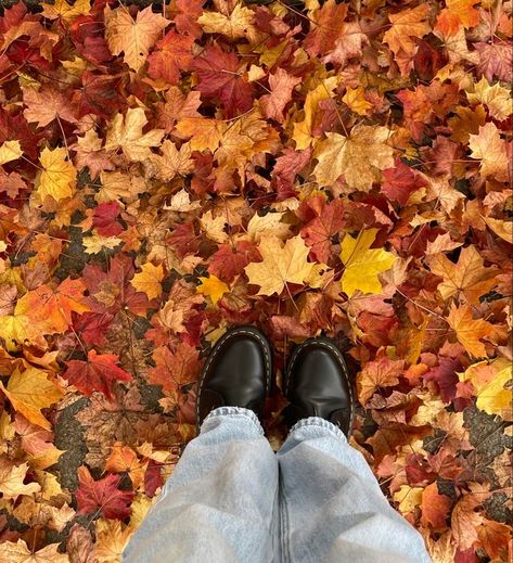 Autumn Pumpkins, Orange Red, Red Yellow, Pumpkins, Orange, Yellow, Red