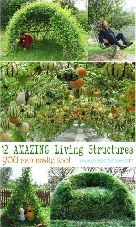 Willow Dome, Bean Teepee, Living Structures, Diy Garden Trellis, Plant Structure, Unique Garden Decor, Urban Gardening, Have Inspiration, Unique Gardens