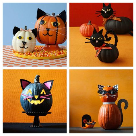 Painted Cat Pumpkin Ideas, Cat On Pumpkin Painting, Pumpkin Painting Cat Ideas, Painted Cat Pumpkin, Cat Pumpkin Painting Ideas, Cat Pumpkin Decorating, Kitty Pumpkin Painting, Cat Painted Pumpkin, Pumpkin Cat Painting