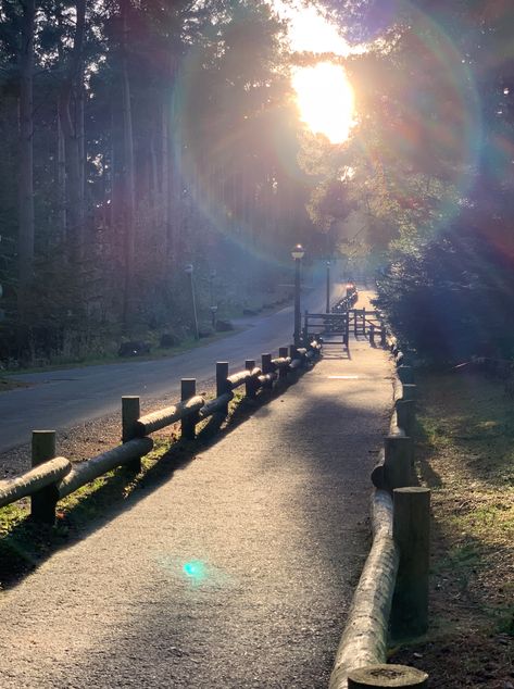 Center Parcs Aesthetic, Centre Parcs Sherwood Forest, Centre Parcs Longleat, Centre Parcs, Bucket List Holidays, Centre Parks, Center Parcs, Center Park, Baby Moon