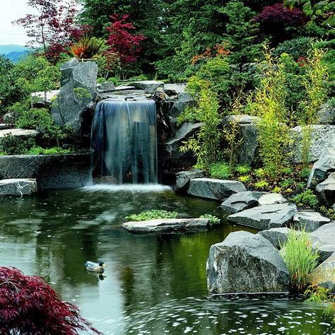 Dream Backyard Garden, Garden Waterfall, Pond Waterfall, Pond Water Features, Pond Landscaping, Backyard Water Feature, Natural Pond, Waterfalls Backyard, Pond Design