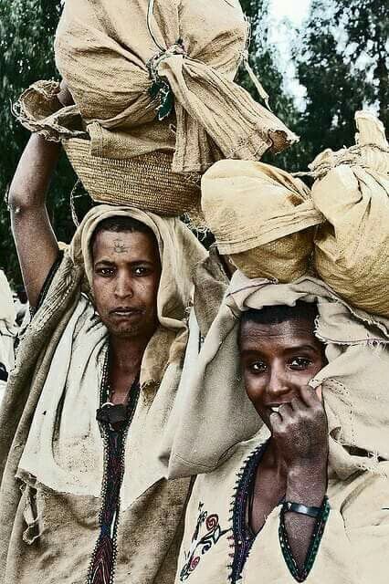 Carrying the sacks, Gojjam. History Of Ethiopia, Ethiopian People, Ethiopian Clothing, Ethiopian Traditional Dress, Ethiopian Women, Eric Lafforgue, Horn Of Africa, Out Of Africa, Photographs Of People