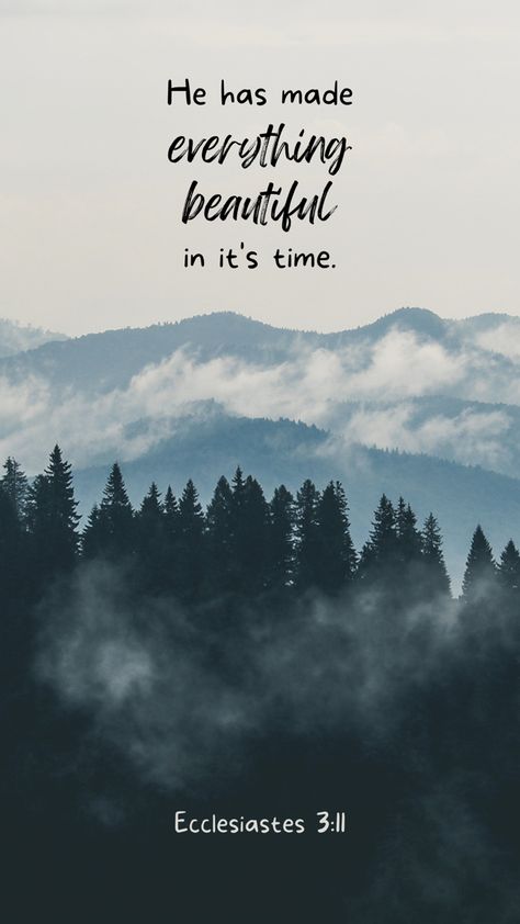 Bible Verse About Mountains, Adventure Bible Verses, Ecclesiastes 3 11 Wallpaper, Prettiest Wallpapers, Mountain Bible Verse, Bible Verse Mountains, Bible Verses About Beauty, Bible Quotes Healing, Bible Verses About Nature