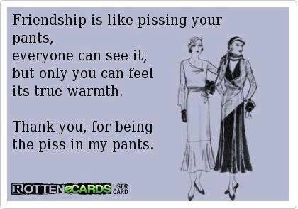 Friendship is like pissing your pants, everyone can see it, but only you can feel its true warmth. Thank you, for being the piss in my pants. #Friends Rotten Ecards, Thankful For Friends, Clipuri Video, E Card, Ecards Funny, True Friends, Bones Funny, Friendship Quotes, Great Quotes