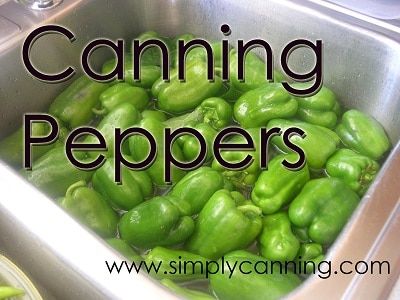 Canned Peppers, Canning Peppers, Pickled Peppers, Canning 101, Canning Vegetables, Canned Food Storage, Canning Tips, Canning Food Preservation, Message Center