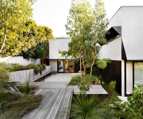 A Native Garden Filled With Floating Stepped Platforms Australian Garden Design, Australian Gardens, Coastal Landscaping, Australian Trees, Concrete Retaining Walls, Australian Native Garden, Native Gardens, Coastal Garden, 70s House