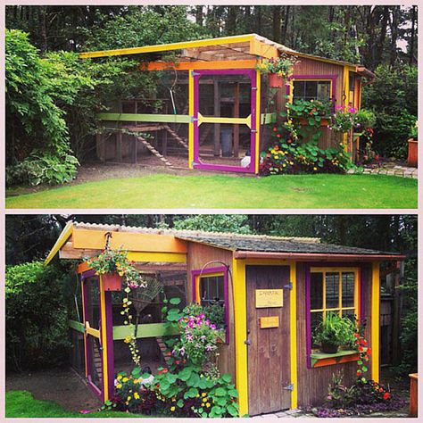 Colourful Chicken Coop, Chicken Coop Colors Scheme, Colorful Chicken Coop, Cute Chicken Coops, Portable Chicken Coop, Chicken Coup, Chickens And Ducks, Chicken Houses, Chicken Coop Ideas