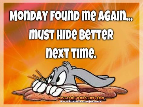 Monday found me again monday monday is coming funny monday images monday humor quotes Happy Tuesday Meme, Monday Pictures, Monday Humor Quotes, Monday Morning Quotes, Funny Day Quotes, I Hate Mondays, Good Morning Funny Pictures, Tuesday Humor, Weekday Quotes