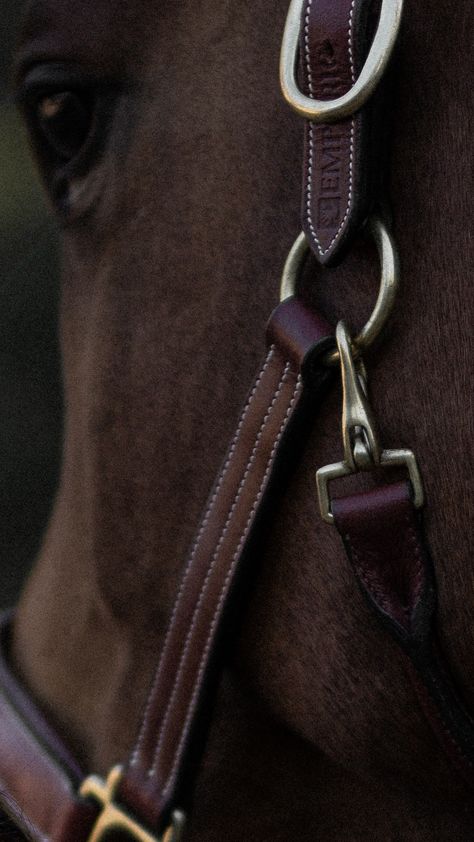 Equestrian Life Aesthetic, Horse Aesthetic Wallpaper, Equestrian Wallpaper, Horsey Life, Horse Riding Aesthetic, Equestrian Aesthetic, Equestrian Girls, Looks Country, Horse Aesthetic