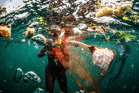 Environmental Photographer of the Year winners show raw impact of climate change | Living Environment Photography, Moving Photos, Water Scarcity, Sustainable City, Sea Level Rise, Marine Environment, Ancient Forest, Climate Action, Plastic Pollution