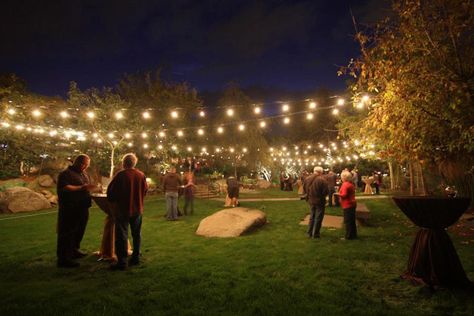 Stone Brewery party / Backyard party idea Outdoor Party String Lights, Outside Party Lights, Garden Party Fairy Lights, Backyard Fairy Lights Party, Lawn Lighting Ideas, Backyard Party Lights, Wedding Games Outdoor, Lawn Party Ideas, Backyard Wedding Games