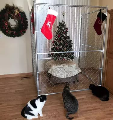 18 More Cats Vs Christmas Trees For Your Holiday Horror | Cuteness Cat Vs Christmas Tree, Cats And Christmas Trees Funny, Cat Christmas Tree Funny, Cats Vs Christmas Trees, Cat With Christmas Tree, Dogs And Christmas Trees, Cat Christmas Tree Ideas, Cat Tree Christmas Tree, Christmas Tree Ideas With Cats