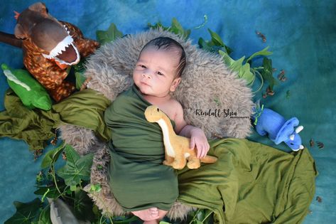 Boy dinosaur newborn photography Dinasour Theme Photoshoot, Dinosaur Monthly Photos, Dinosaur Newborn Pictures, Dino Newborn Pictures, Dinasour Newborn Pictures, Newborn Dinosaur Costume, Newborn Dinosaur Photography, Dinosaur Cake Smash Photo Shoot, Monthly Baby Photos Boy