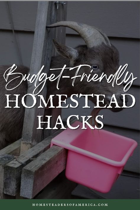 Budget Homestead Hacks: Sustainable Living Without Breaking the Bank - Homesteaders of America Homestead Hacks, Kitchen Life Hacks, Cow Manure, Water Sources, Soil Improvement, Garden Trellis, Best Budget, Natural Resources, Repair And Maintenance