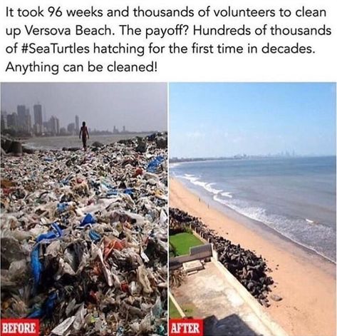 Save Planet Earth, Beach Clean Up, Photos Bff, Funny Sites, Save Our Earth, Photo Summer, Clean Beach, Faith In Humanity Restored, Humanity Restored