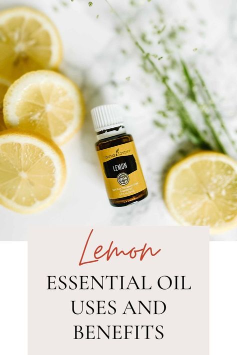 One of the things I love about essential oils is how versatile they are; Lemon essential oil has so many uses and benefits! You may purchase an essential oil for one for a specific reason only to find out they have a whole list of other ways that you can incorporate them into your day. Essential Oils For Earache, Lemon Essential Oil Uses, Lemon Essential Oil Benefits, Young Living Lemon Essential Oil, Lavender Essential Oil Uses, Young Living Lemon, Essential Oil Education, Thieves Essential Oil, Lemon Essential Oil