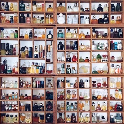 Perfume Collection Display Ideas, Mini Perfume Collection, Perfume Bottle Collection, Perfume Collection Display, Collection Perfume, Penyimpanan Makeup, Designer Perfumes, Perfume Storage, Dream Closet Design