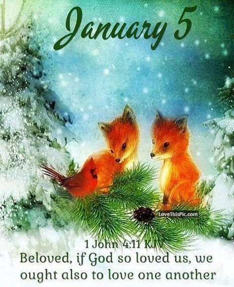 January 5 Pictures, Photos, and Images for Facebook, Tumblr, Pinterest, and Twitter Makiko Art, Fox In Forest, 동화 삽화, Fox Art, Christmas Drawing, Christmas Scenes, Art Licensing, Winter Art, Christmas Paintings