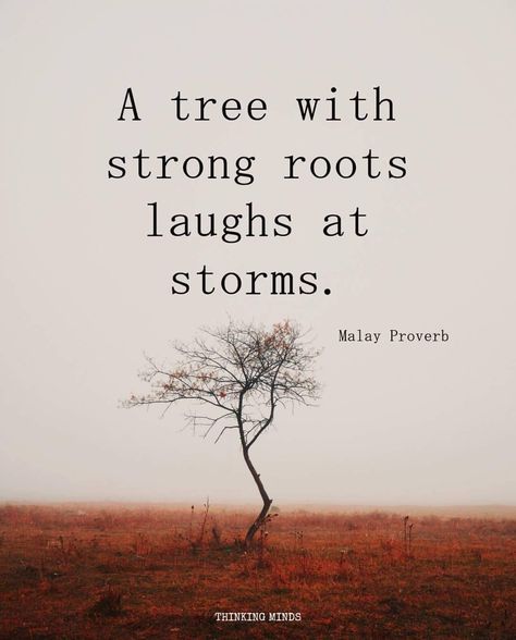 Roots Quotes, Tree With Roots, Roots Tattoo, Tree Quotes, Inspirational Speaker, Life Changing Quotes, Nature Quotes, Mindfulness Quotes, Famous Quotes