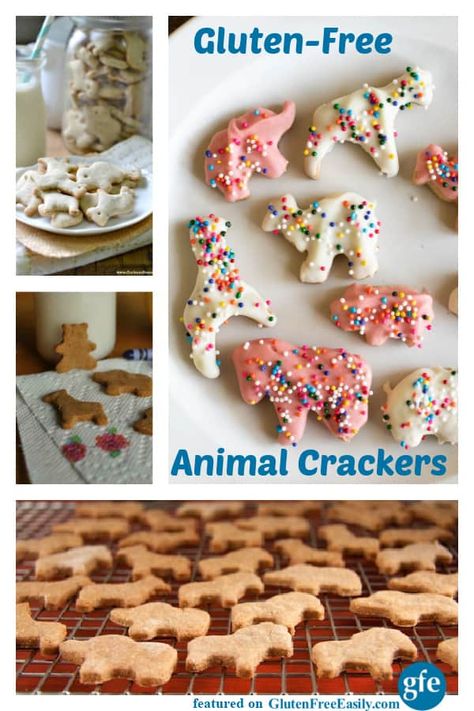 Gluten-Free Animal Crackers Collage. The best of gluten-free animal cracker (aka animal cookies) recipes in the gluten-free community. A sampling featured on glutenfreeeasily.com. Gluten Free Animal Crackers, Animal Crackers Recipe, Animal Cookies Recipe, Best Gluten Free Cookies, Animal Cracker, Cracker Cookies, Gluten Free Cookie Recipes, Cookie Recipes Homemade, Best Gluten Free Recipes