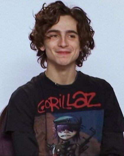 Gorillaz Shirt, Little Women, Timothee Chalamet, Gorillaz, Interstellar, Curly Hair, London, Hair, Black