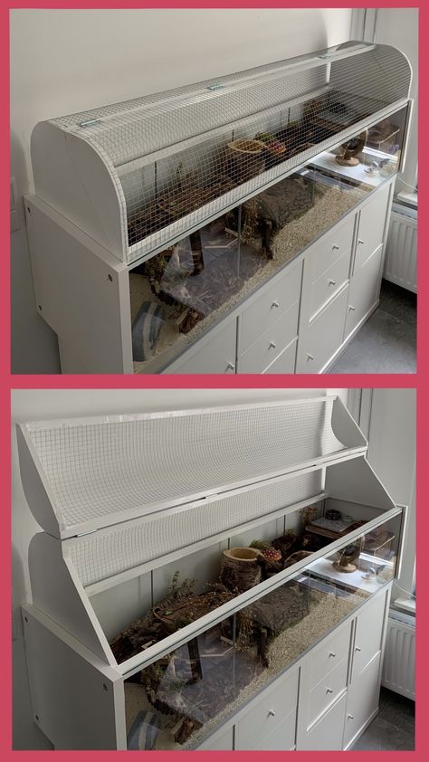 Ikea Detolf Ideas, Hamster Detolf Cage, Hamster Cage Detolf, Detolf Hamster Cage Lid, Ikea Detolf Hamster Cage Lid, Hamster Detolf, Ikea Hamster Cage, Ikea Detolf Hamster Cage, Gerbil Cage Ideas