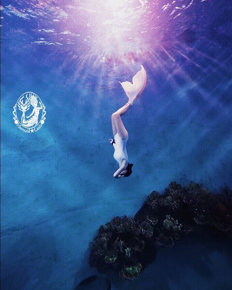 Mermaid Swimming Up, Mermaid Model, Diving Sport, Mermaids Swimming, Mermaids Tail, Mermaid Jumping Out Of Water, Mermaids Swimming Underwater, Mermaid Swimming, Be Free