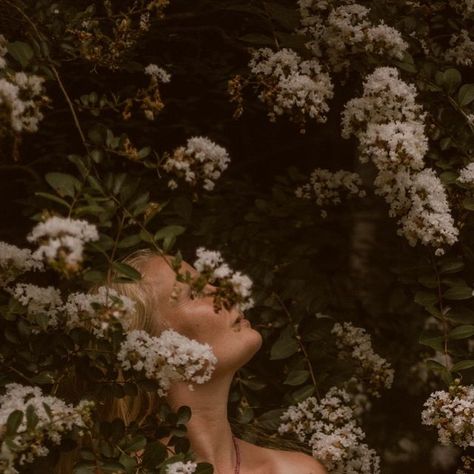 Jenna | Mother Photographer 🕊 on Instagram: "Floral backdrops forever // I’ve already got my eyes out for the myrtle bushes here in time for the blooming seasons that await 🌸" Floral Backdrops, Plant Aesthetic, Floral Backdrop, Forever Me, My Eyes, In Time, Destiny, Photographer, Plants